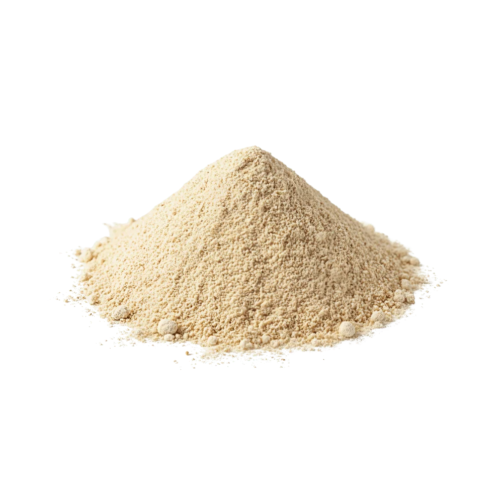 Cebola em Pó - 100g