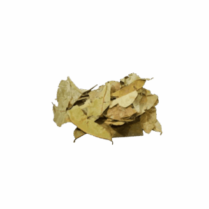 Folha de Graviola - apróx. 38g