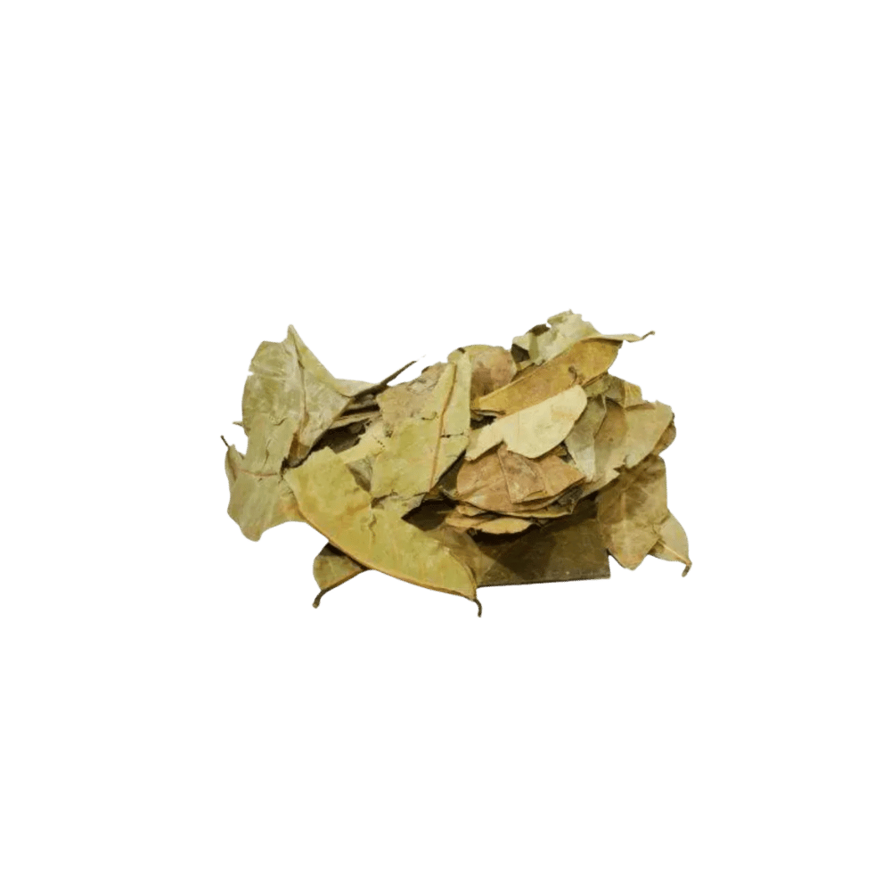 Folha de Graviola - apróx. 38g