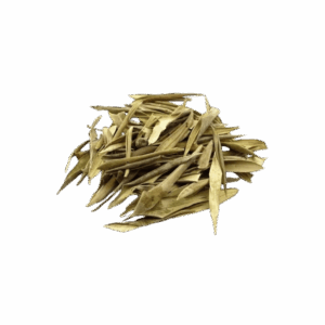 Folha de Oliveira - apróx. 56g