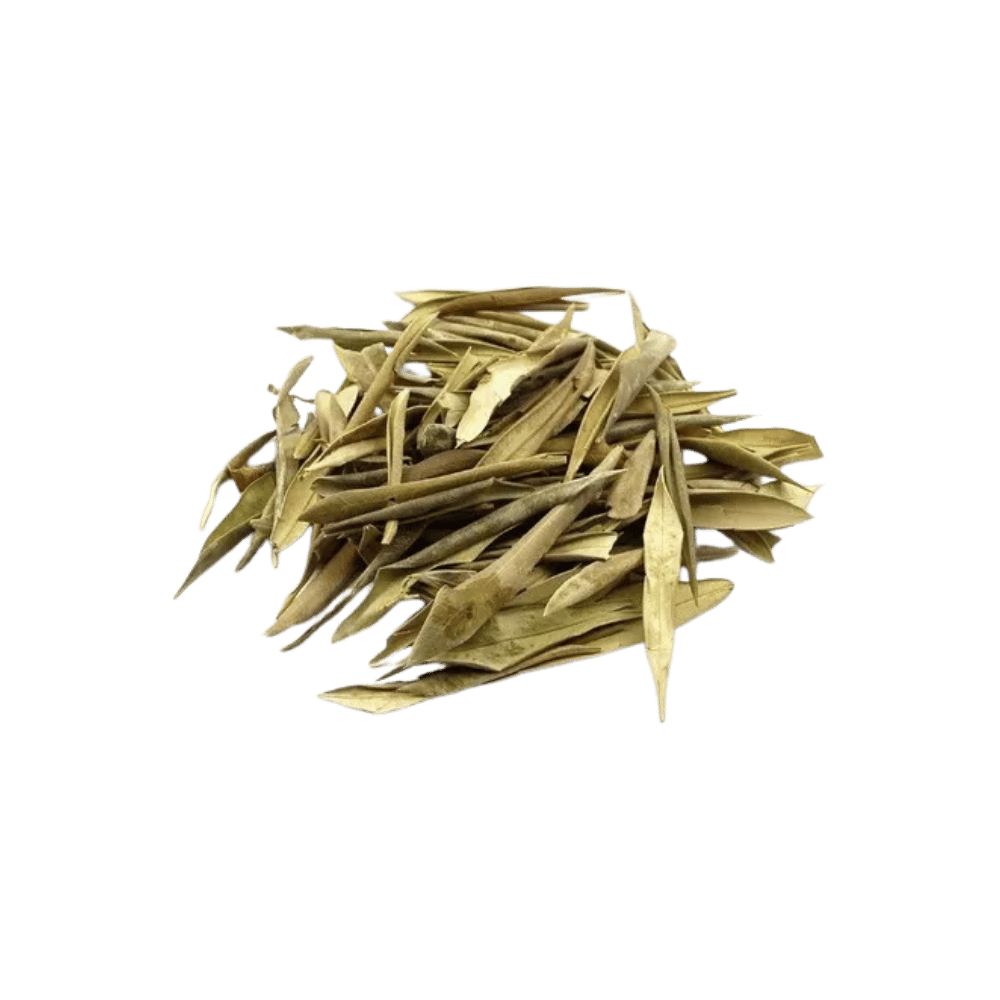 Folha de Oliveira - apróx. 56g