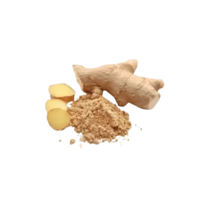 Gengibre em Pó - 100g