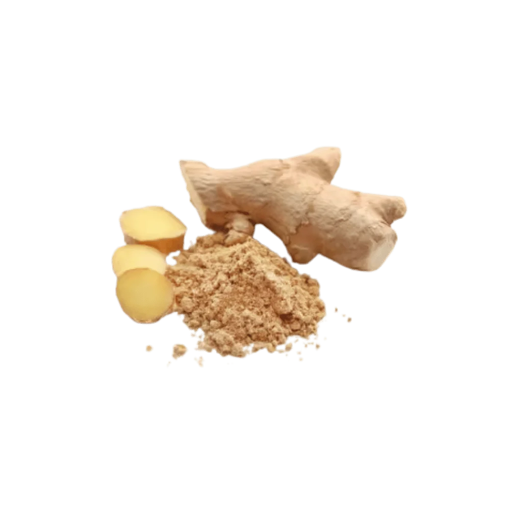 Gengibre em Pó - 100g