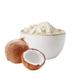 Leite de Coco em Pó - 100g