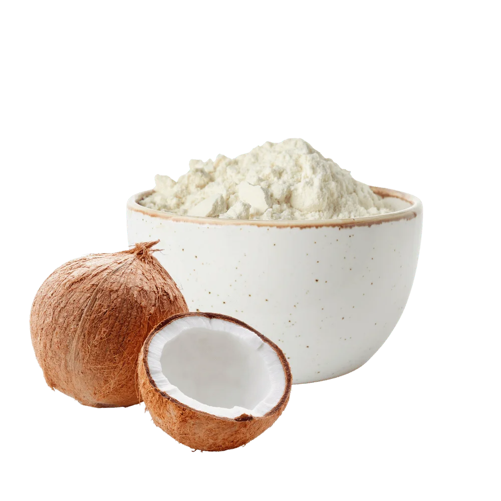 Leite de Coco em Pó - 100g