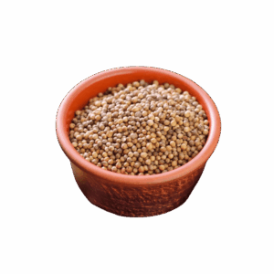 Semente de Coentro - apróx. 50g