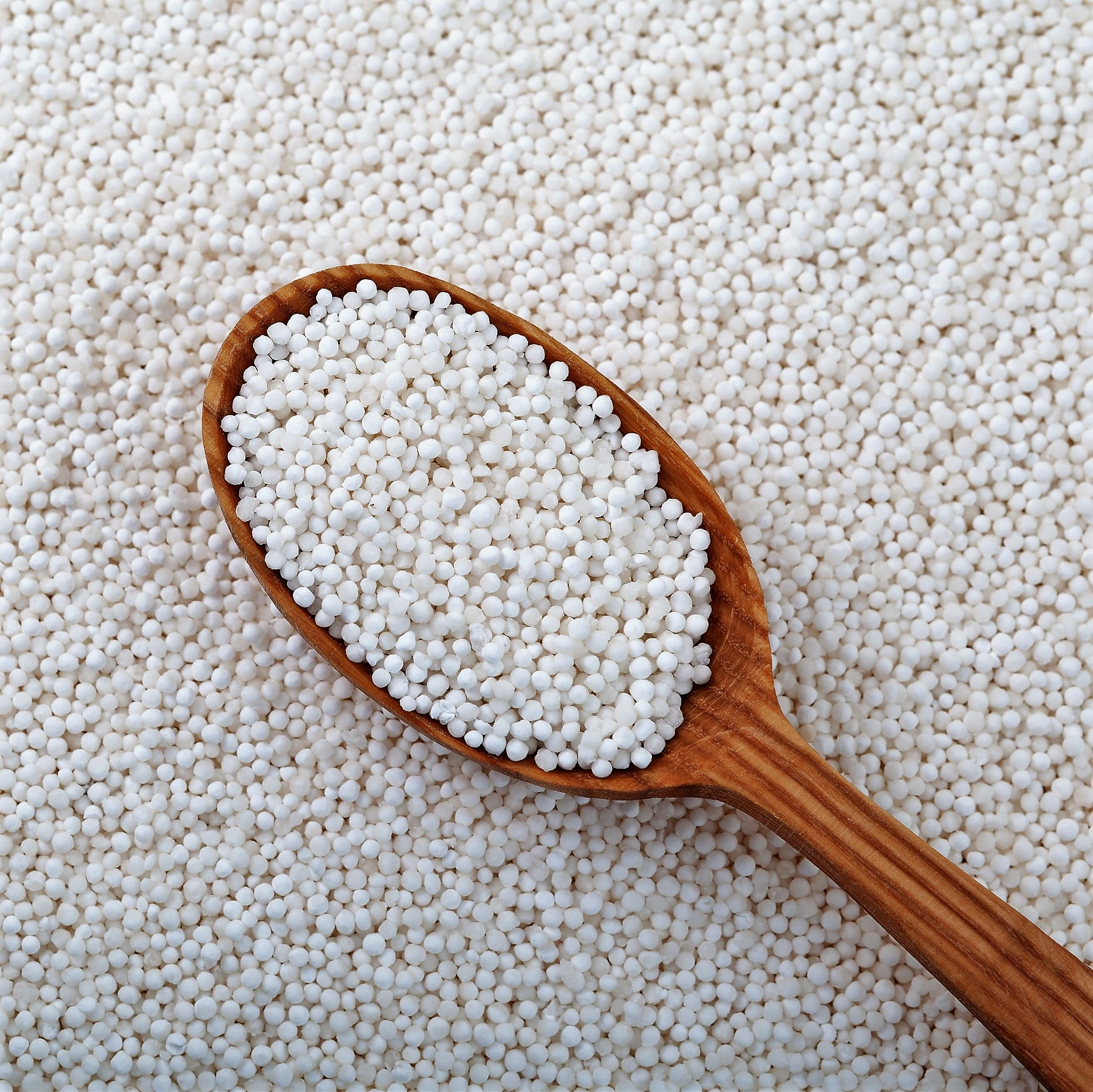 Tapioca Granulada - 500g