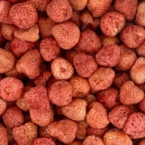 Morango Liofilizado - 100g
