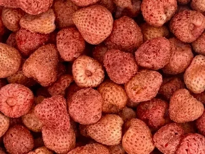 chips_de_morango_liofinizado_a_granel_5035_1_14670191587179b2a89e15c5a5864f98